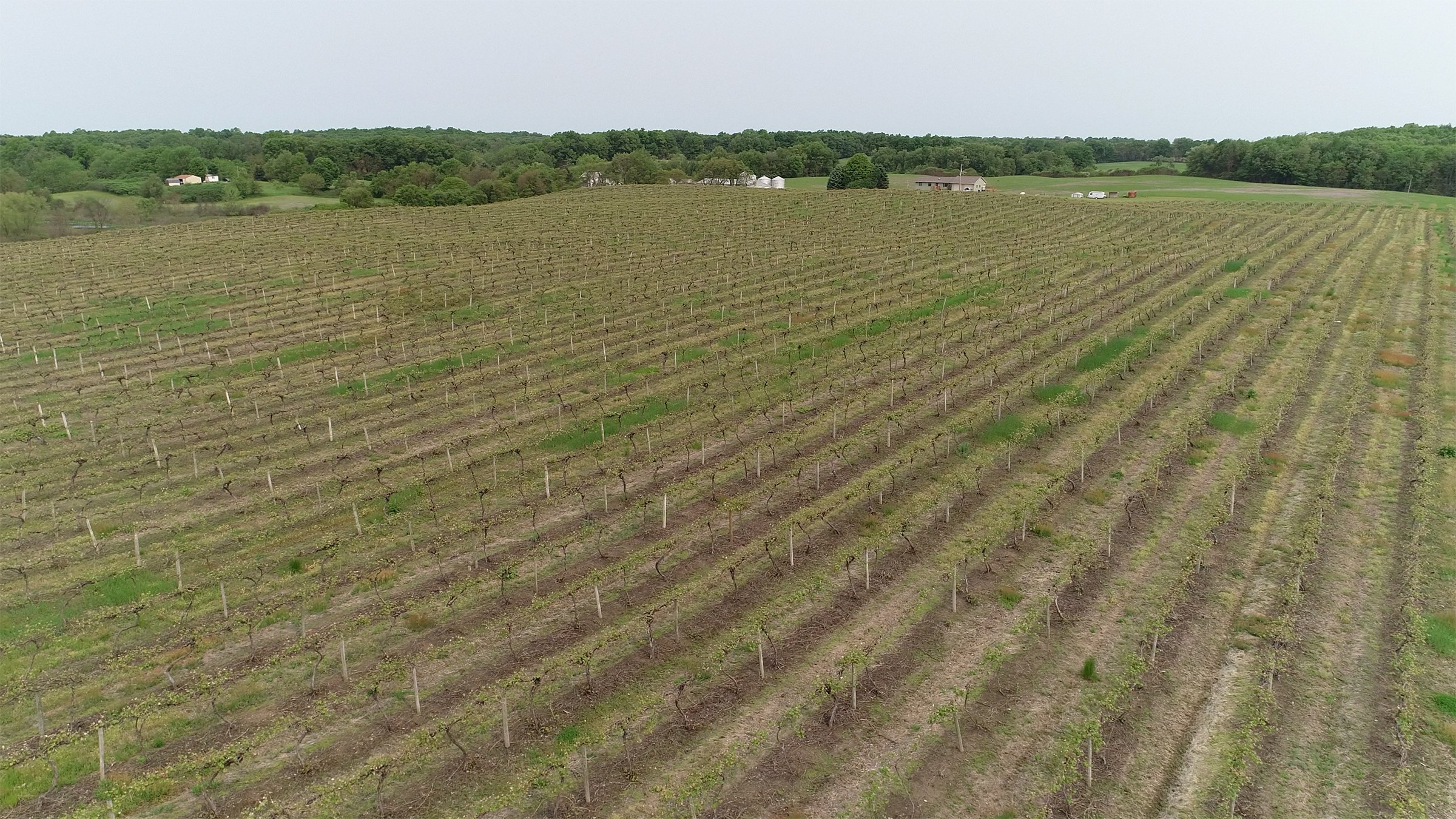 Van Buren County, Michigan farmland - LAND AUCTION - 194+/- ACRES OFFERED IN 5 TRACTS IN VAN BUREN COUNTY, MICHIGAN